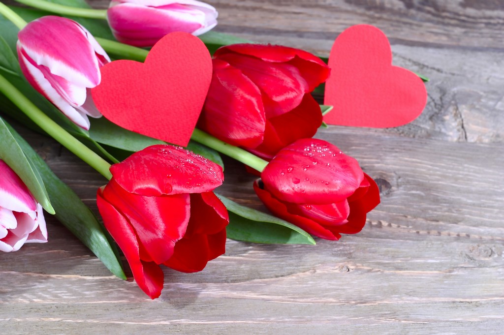 Rencontrer l'amour représenté par deux cœurs et des roses rouges rouges
